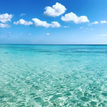 Impresiones del precioso entorno: el mar, tú y la naturaleza